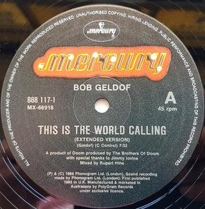Bob Geldof - This Is The World Calling (extended version)