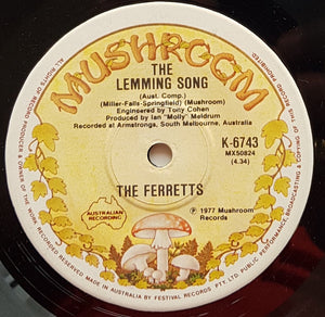 Ferrets - Robin Hood