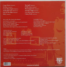 Load image into Gallery viewer, The Spoils - The Spoils