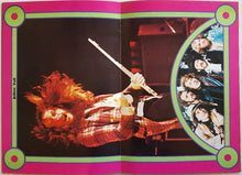Load image into Gallery viewer, Jethro Tull - 1974
