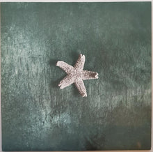 Load image into Gallery viewer, Church - Starfish