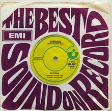 Load image into Gallery viewer, Spectrum (Indelible Murtceps) - Esmeralda