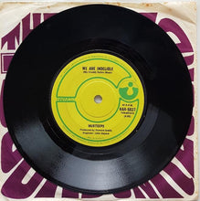 Load image into Gallery viewer, Spectrum (Indelible Murtceps) - Esmeralda