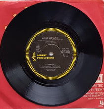 Load image into Gallery viewer, Ted Mulry - Sunday Evenings