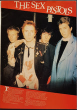 Load image into Gallery viewer, Blondie - Flexipop