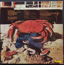 Load image into Gallery viewer, Nilsson - Sandman