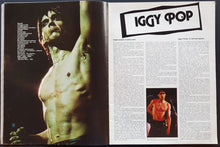 Load image into Gallery viewer, Punk - Popster no.10