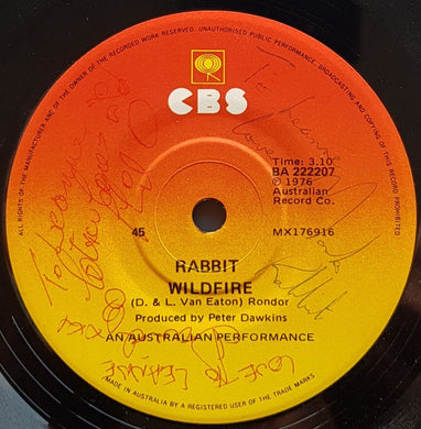 Rabbit - Wildfire