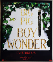 Load image into Gallery viewer, Big Pig - Boy Wonder