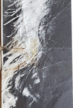 Load image into Gallery viewer, Captain Beefheart - Love Over Gold