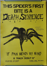 Load image into Gallery viewer, Death Sentence - If Pain Mends My Mind