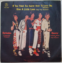 Load image into Gallery viewer, Bay City Rollers - Give A Little Love