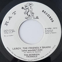 Load image into Gallery viewer, Bermuda Triangle - Leroy, The Friendly Shark (Who Wouldn&#39;t Kill)