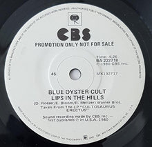 Load image into Gallery viewer, Blue Oyster Cult - Fallen Angel