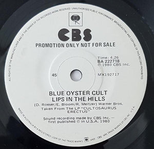 Blue Oyster Cult - Fallen Angel