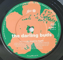 Load image into Gallery viewer, Darling Buds - You&#39;ve Got To Choose