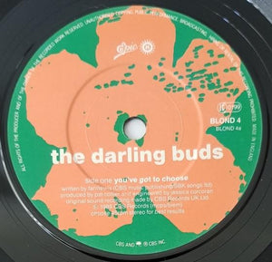 Darling Buds - You've Got To Choose