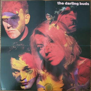 Darling Buds - Burst