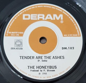 Honeybus - I Can't Let Maggie Go