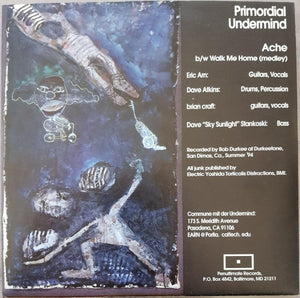 Primordial Undermind - Ache