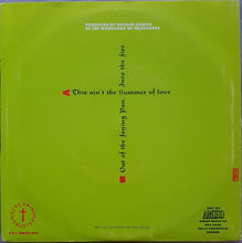 Load image into Gallery viewer, Screaming Dizbusters - This Ain&#39;t The Summer Of Love