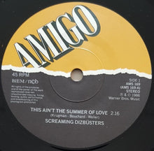 Load image into Gallery viewer, Screaming Dizbusters - This Ain&#39;t The Summer Of Love