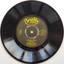 Load image into Gallery viewer, Jonathan Richman (Modern Lovers) - The Morning Of Our Lives