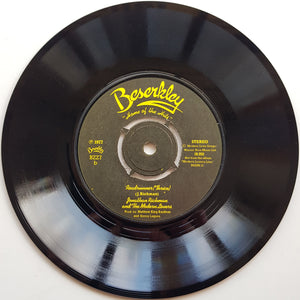 Jonathan Richman (Modern Lovers) - The Morning Of Our Lives