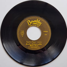 Load image into Gallery viewer, Jonathan Richman (Modern Lovers) - Egyptian Reggae