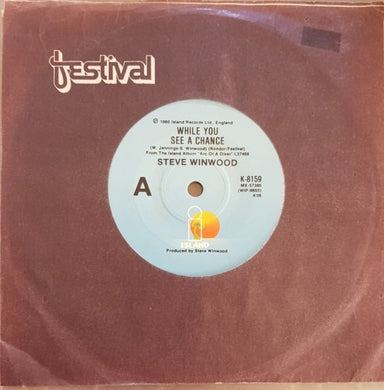 Steve Winwood - While You See A Chance