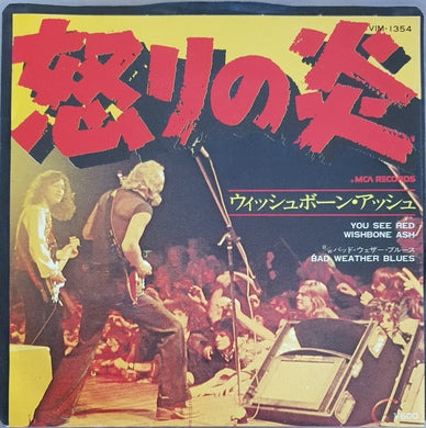 Wishbone Ash - You See Red