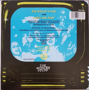 Wonderstuff - The Size Of A Cow