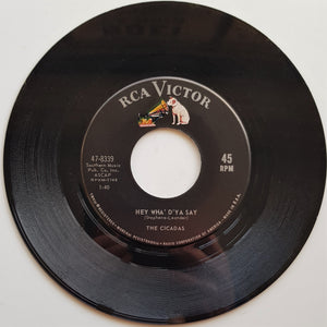 Cicadas - That's What I Want / Hey Wha'D'Ya Say