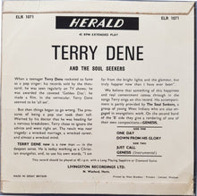Load image into Gallery viewer, Terry Dene - Now