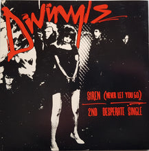 Load image into Gallery viewer, Divinyls - Siren (Never Let You Go)