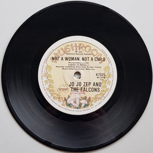 Jo Jo Zep & The Falcons - Hit And Run