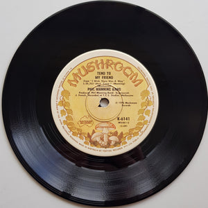 Phil Manning - Train To Ride