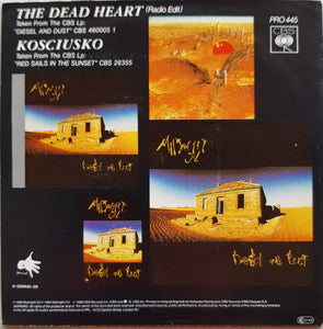 Midnight Oil - The Dead Heart (Radio Edit)