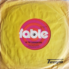 Load image into Gallery viewer, Mixtures - In The Summertime