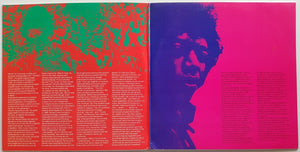 Jimi Hendrix - Star Portrait