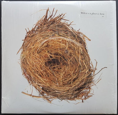 Wilco - A Ghost Is Born