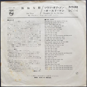 Walker Brothers (Gary Walker & The Rain) - The View