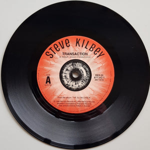 Church (Steve Kilbey) - Transaction