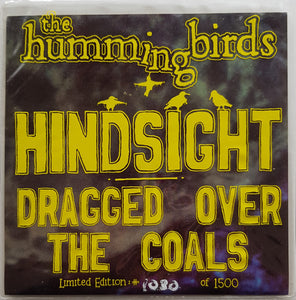 Hummingbirds - Hindsight