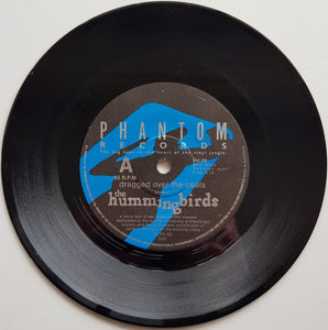 Hummingbirds - Hindsight