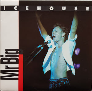 Icehouse - Mr.Big