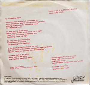 Little Heroes - For A Bleeding Heart