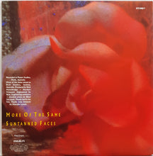 Load image into Gallery viewer, Martha&#39;s Vineyard - More Of The Same