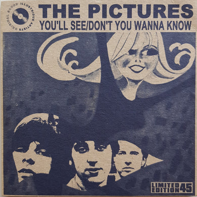 Pictures - You'll See
