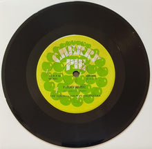 Load image into Gallery viewer, Australian Pops Orchestra - I Wish I Knew (Where Love Has Gone)